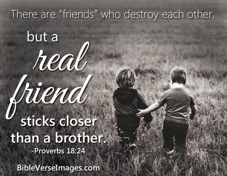 Proverbs on Friendship