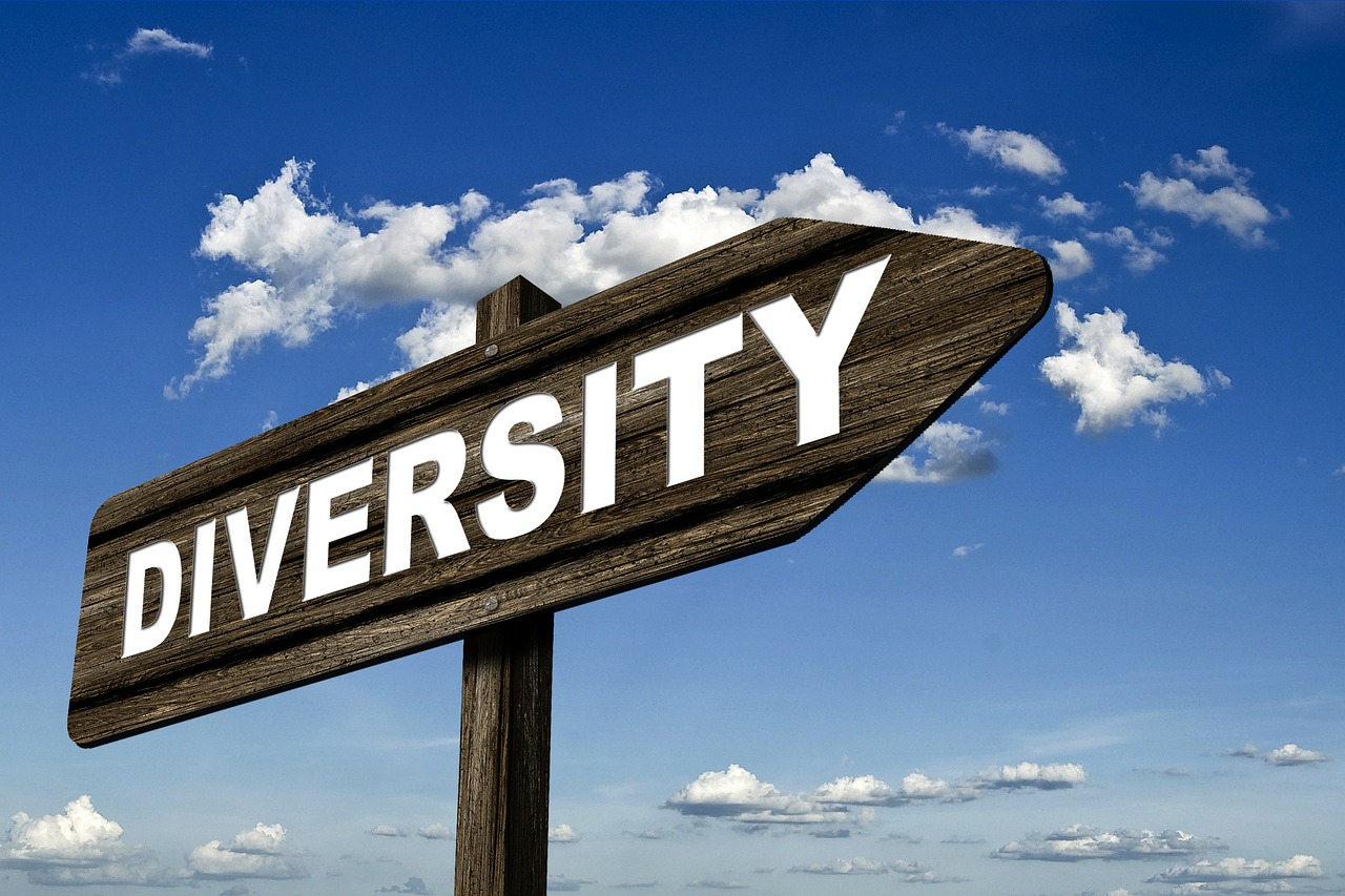 Does Your Organization Need a Chief Diversity Officer?