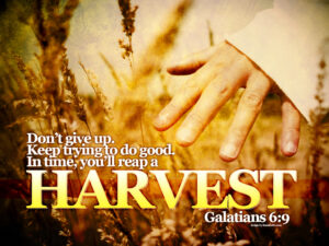 Galatians 6:9 – Do Good Wallpaper