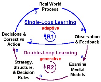 Double Loop Learning