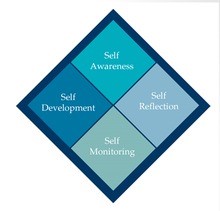 The_framework_for_self-mentoring